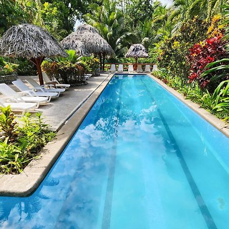 Bluff Beach Retreat Bocas Town Kültér fotó