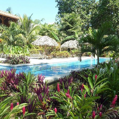 Bluff Beach Retreat Bocas Town Kültér fotó