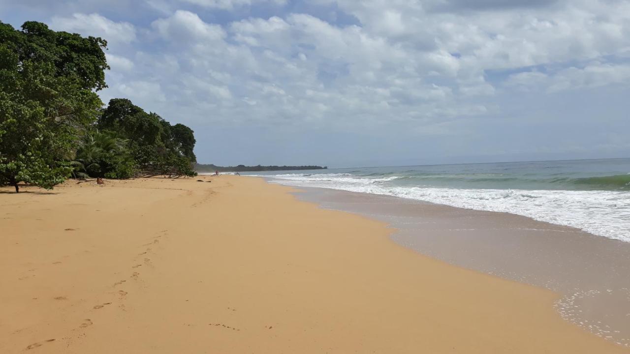 Bluff Beach Retreat Bocas Town Kültér fotó