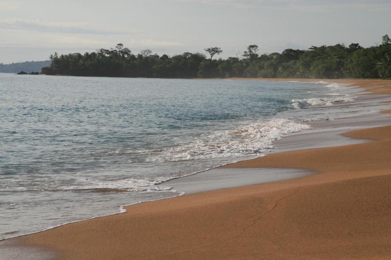 Bluff Beach Retreat Bocas Town Kültér fotó