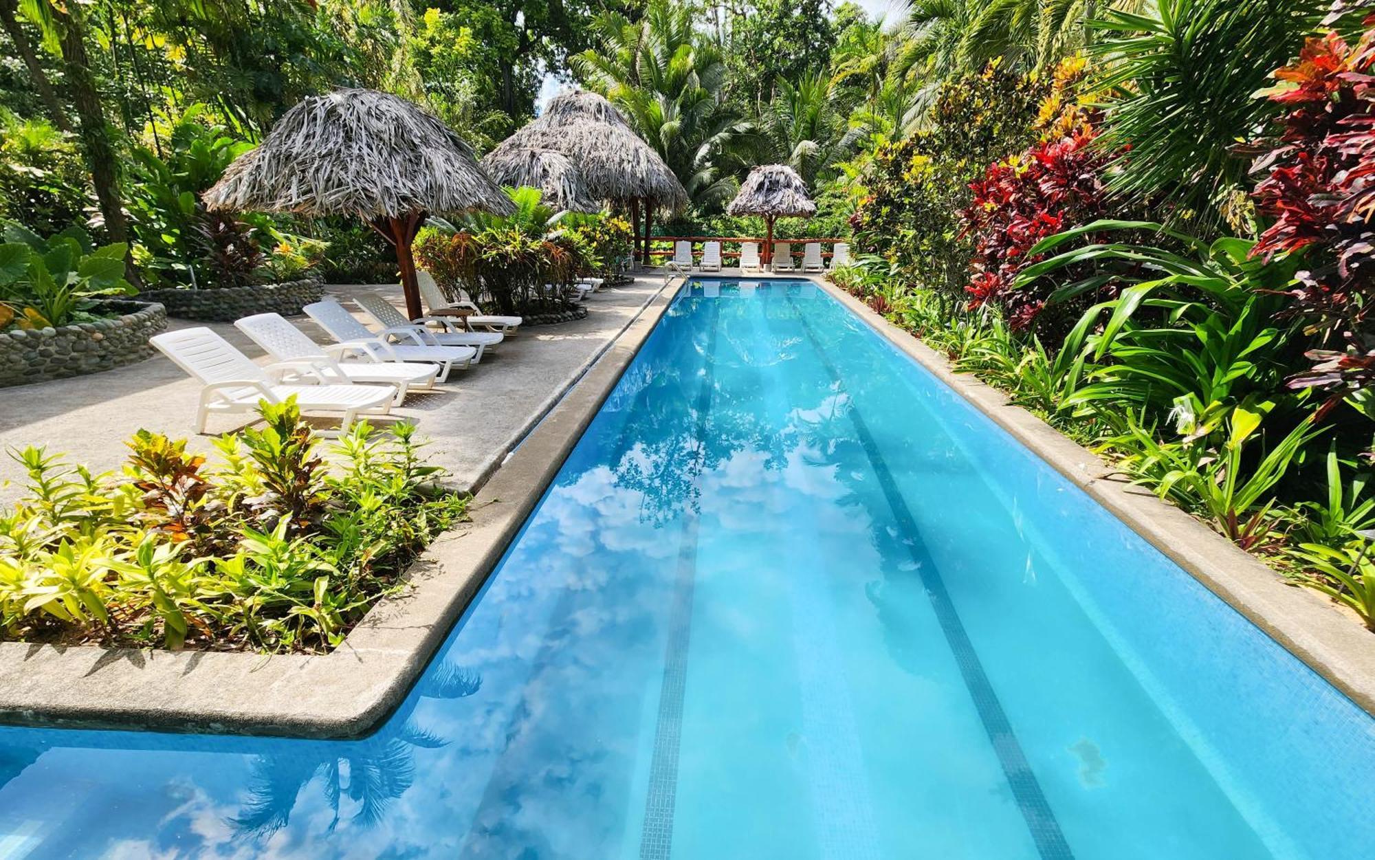 Bluff Beach Retreat Bocas Town Kültér fotó