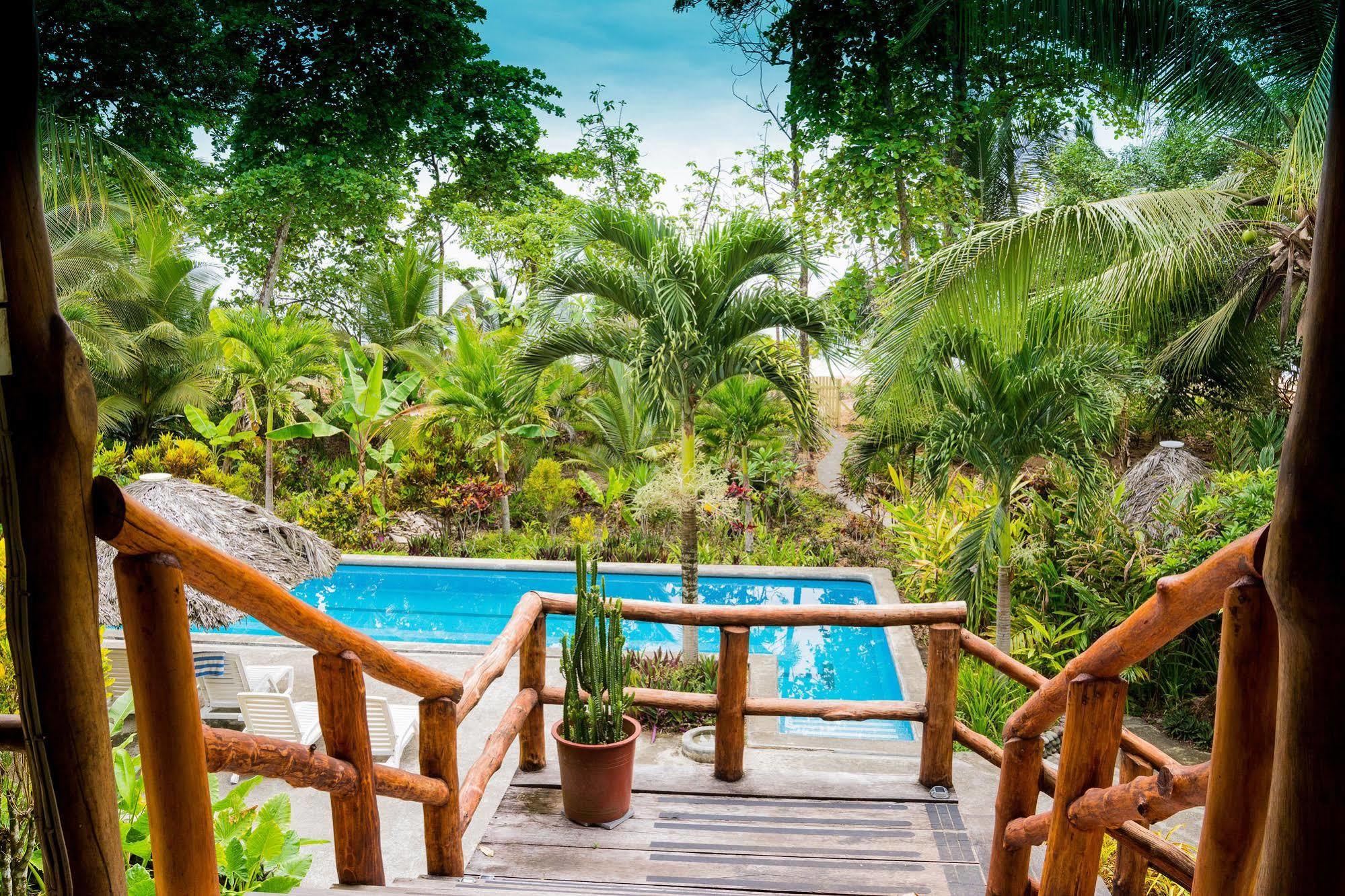 Bluff Beach Retreat Bocas Town Kültér fotó