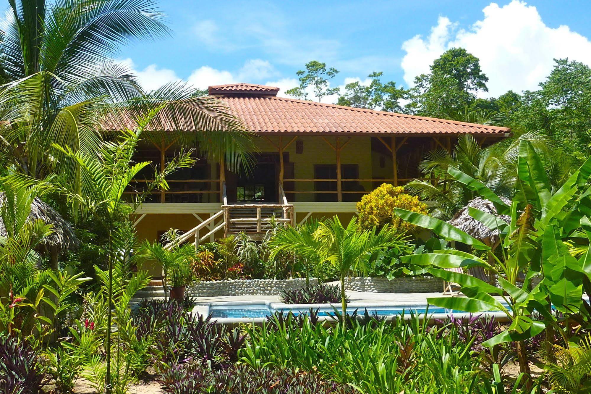 Bluff Beach Retreat Bocas Town Kültér fotó