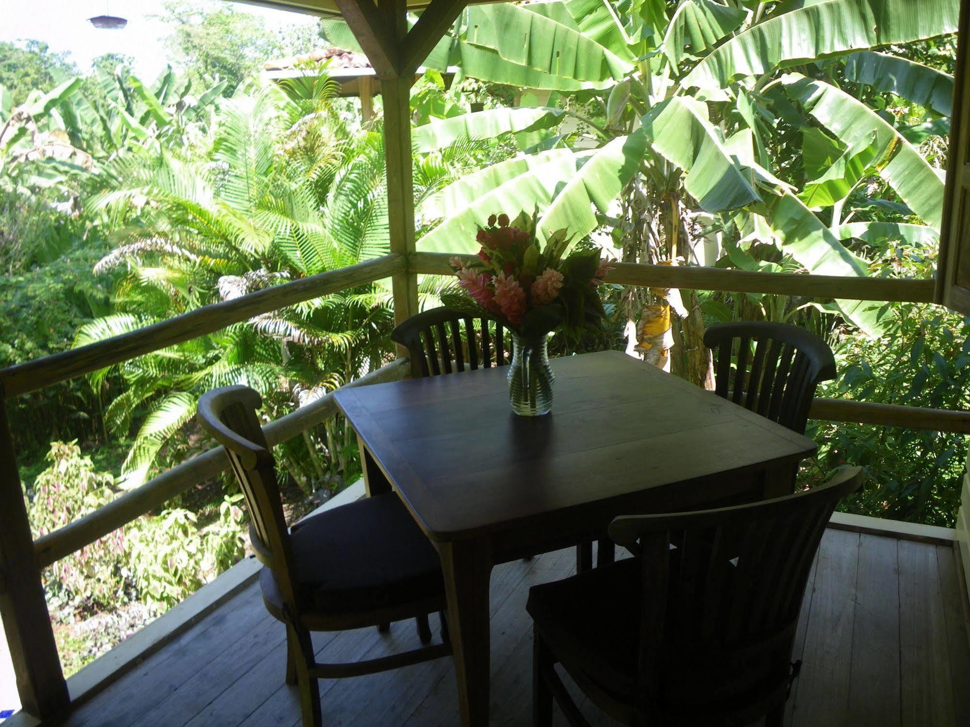 Bluff Beach Retreat Bocas Town Kültér fotó