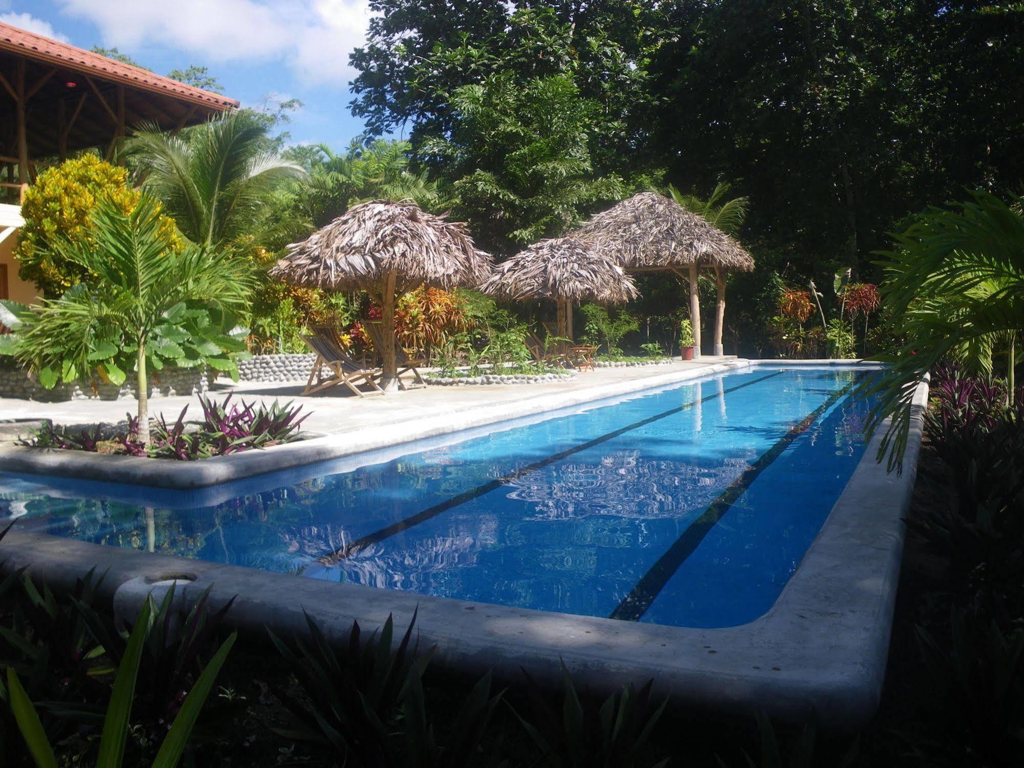 Bluff Beach Retreat Bocas Town Kültér fotó