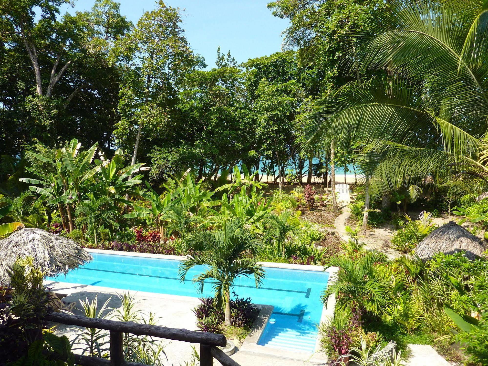 Bluff Beach Retreat Bocas Town Kültér fotó