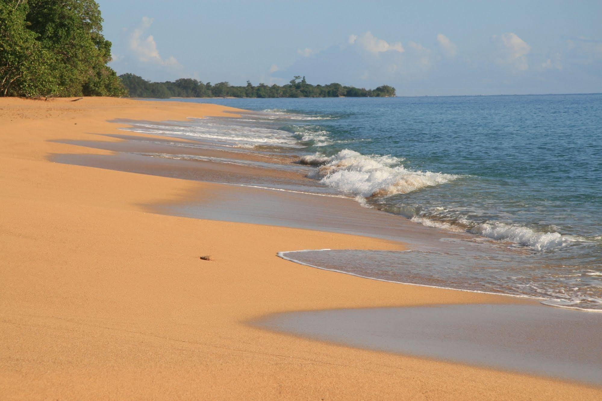 Bluff Beach Retreat Bocas Town Kültér fotó