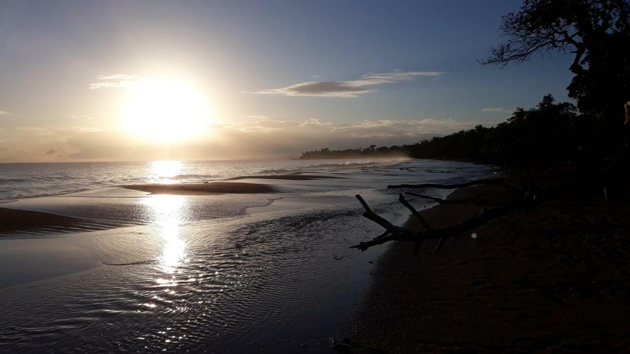 Bluff Beach Retreat Bocas Town Kültér fotó